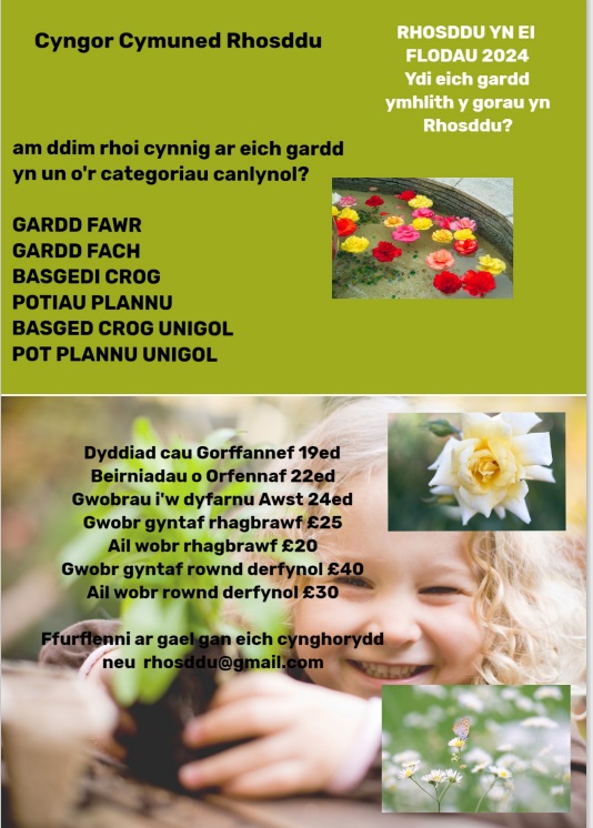 Rhosddu yn ei Flodau 2024 poster