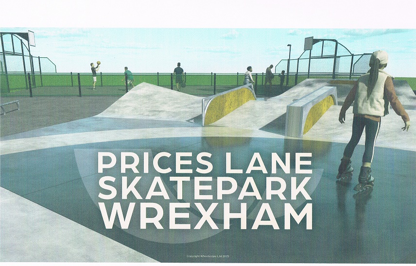 New Skate Park in Prices Lane